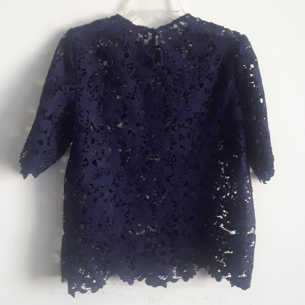 Zara Blue Lace Crew Neck Short Sleeve